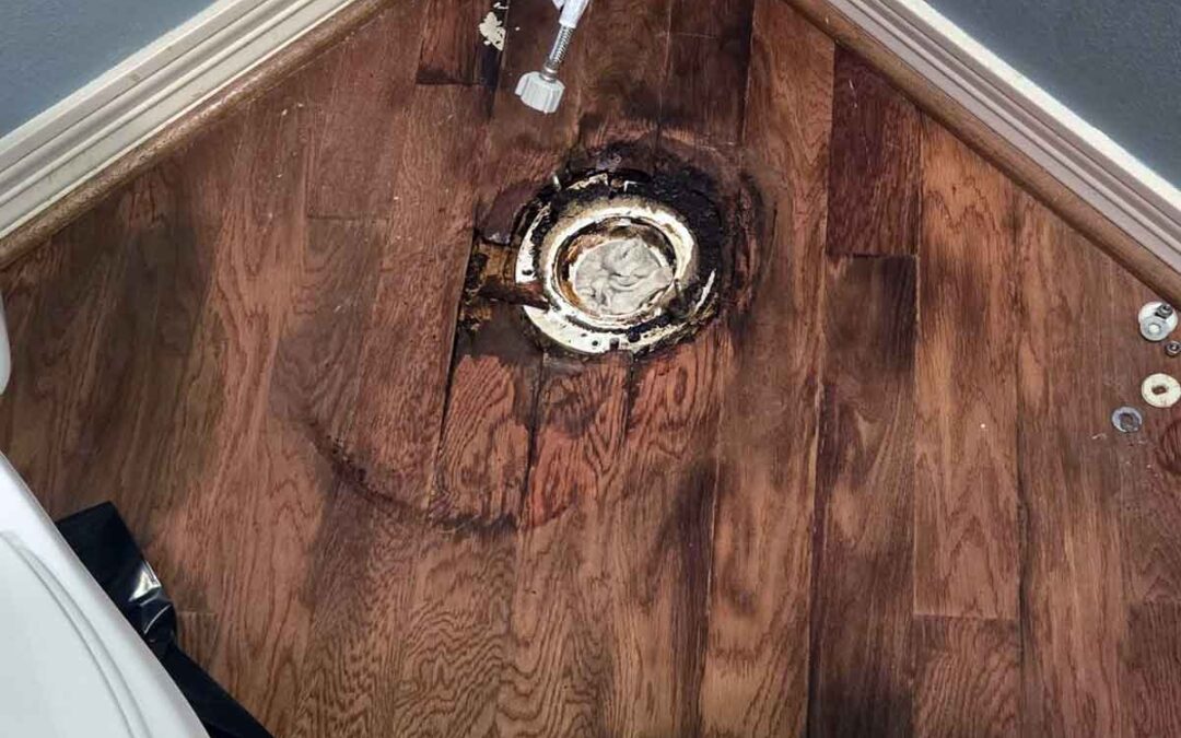 Restroom Restoration: Leaky Toilet in the Half-Bath