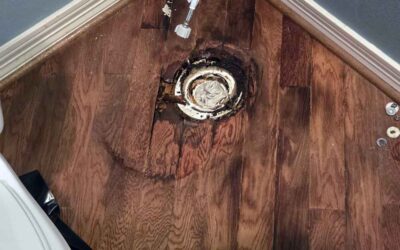 Restroom Restoration: Leaky Toilet in the Half-Bath