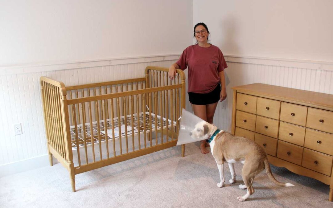 Transforming a Nursery: A Labor of Love and a Stellar Nursery Renovation