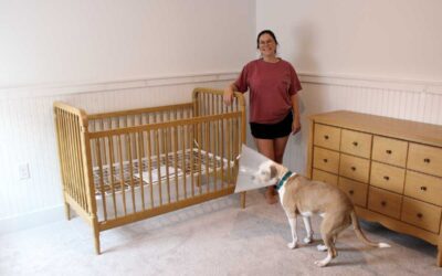 Transforming a Nursery: A Labor of Love and a Stellar Nursery Renovation